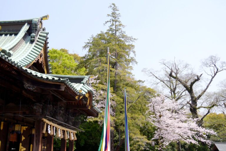 三嶋大社 お菓子のお土産は何にしよう 福太郎餅 がオススメです みしま楽々