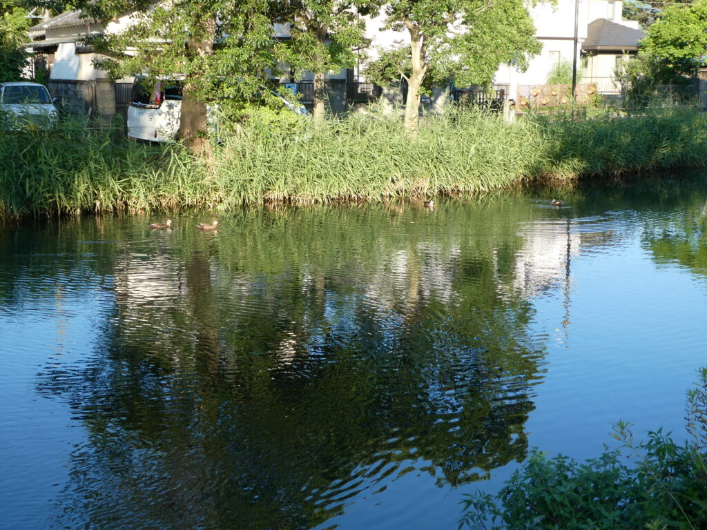 中郷温水地
