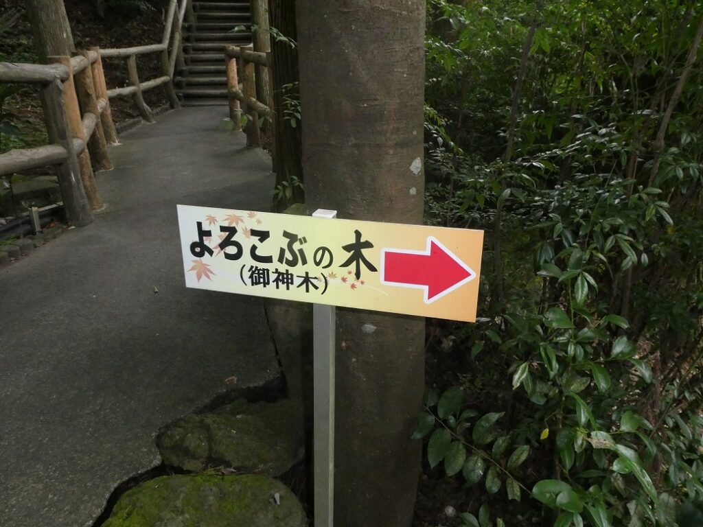 神場山神社　よろこぶの木の案内版