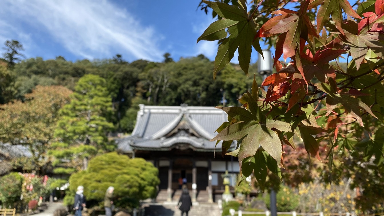 【縁結び・子宝】伊豆・修善寺 日枝神社：巨木が茂る”恋愛パワースポット” | みしま縁結び