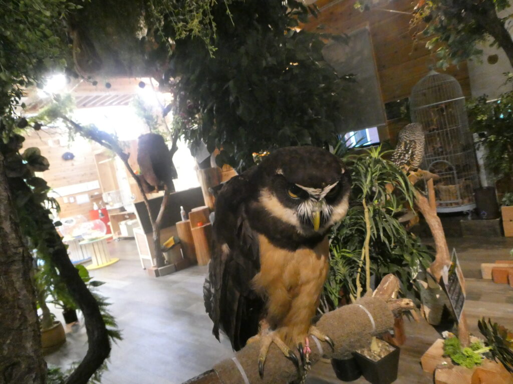 三島動物園, 三島楽寿園入園料