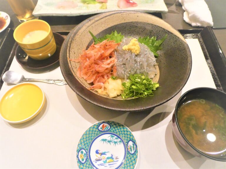 沼津港グルメ 静岡名物 桜えび しらすの海鮮丼を食べたい ー なな輝 をオススメ みしま楽々