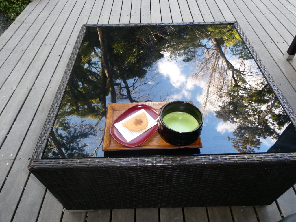 來宮神社（熱海）五色の杜　若葉と静岡抹茶