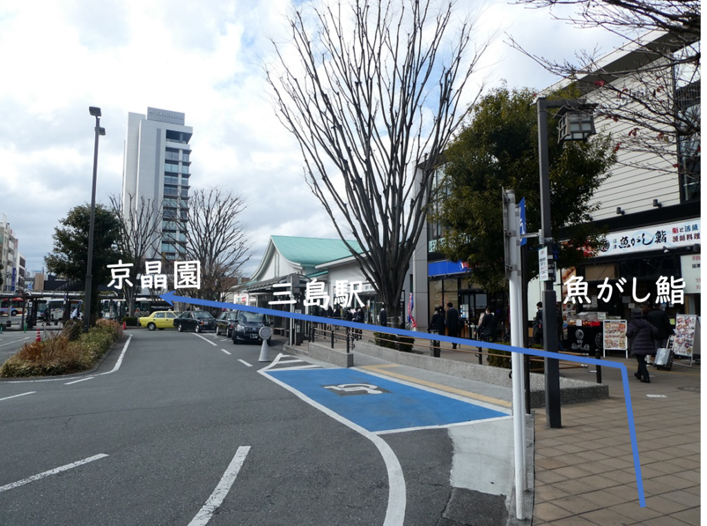 三島駅南口駐車場から京晶園へのルート